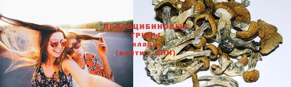дмт Навашино