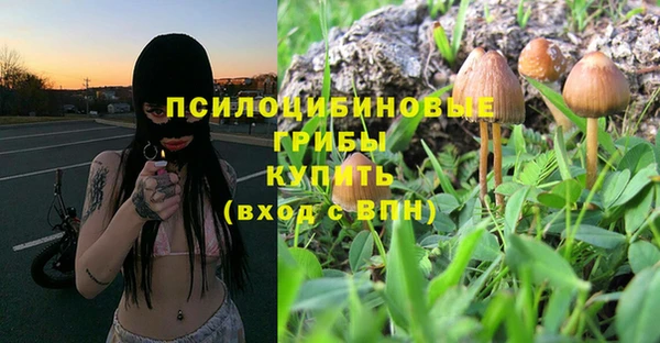прущий лед Надым