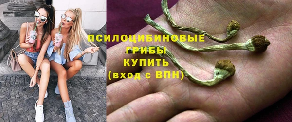 дживик Нефтегорск