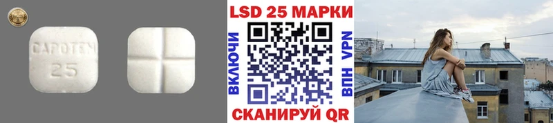 Купить закладки  Светогорск  Лсд 25 экстази ecstasy 