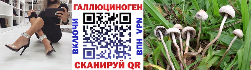 Псилоцибиновые грибы MAGIC MUSHROOMS  Купить где  Светогорск 